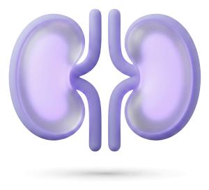 Stylized Kidneys PowerPoint clipart graphic preview.