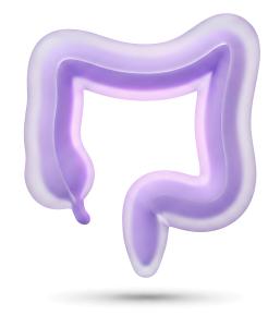 Stylized Large Intestine Colon PowerPoint clipart graphic preview.