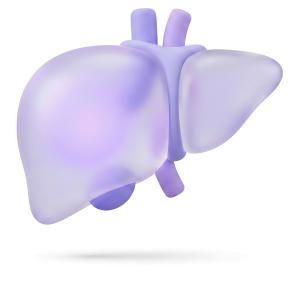 Stylized Liver PowerPoint clipart graphic preview.