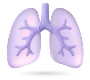 Stylized Lungs PowerPoint clipart graphic preview.