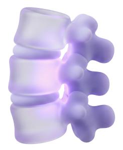 Stylized Spine PowerPoint clipart graphic preview.
