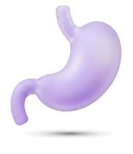 Stylized Stomach Health PowerPoint clipart graphic preview.