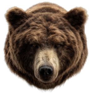 Bear Head PowerPoint clipart graphic preview.