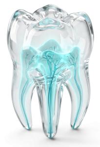 Glass Tooth Roots PowerPoint clipart graphic preview.