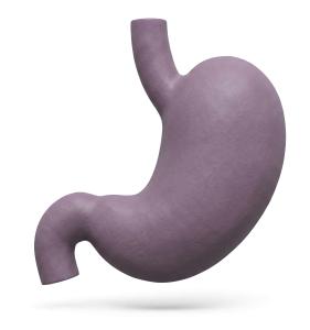 3D Human Stomach Medical Render Illustration PowerPoint clipart graphic preview.