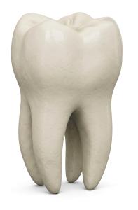 3D Molar Tooth Dental Illustration PowerPoint clipart graphic preview.