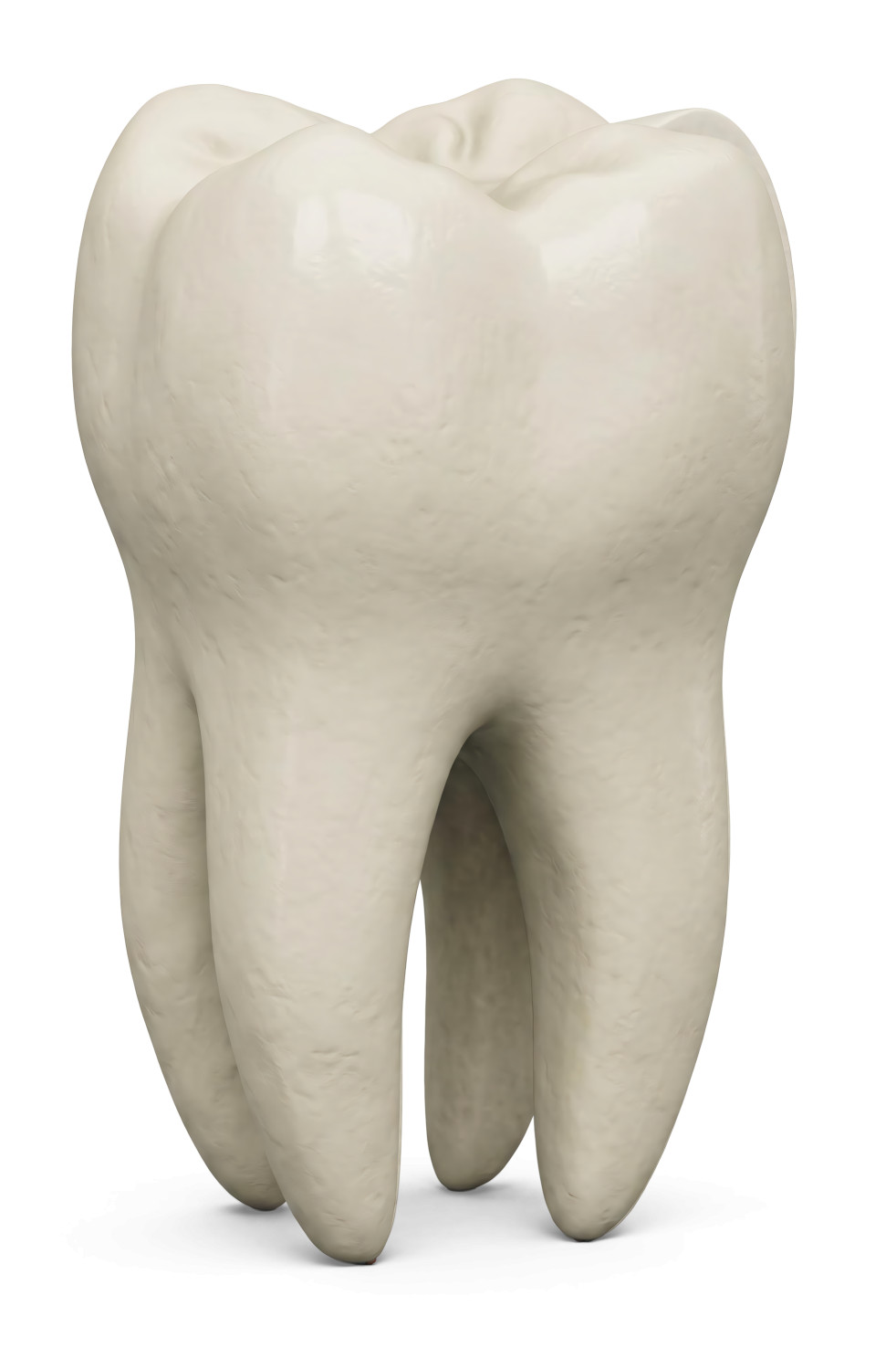 High-resolution clipart illustration of 3D Molar Tooth Dental Illustration, designed for clinical healthcare administration, medical training, and patient data visualization.