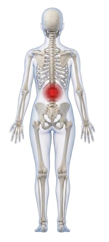 High-resolution customizable clipart of 3D Female Skeleton Back View with Moveable Pain Points, designed for clinical healthcare administration, medical training, and patient data visualization.