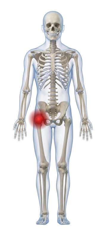High-resolution customizable clipart of 3D Male Skeleton with Moveable Pain Points, designed for digital podcast broadcasting, multimedia content creation, and live entertainment event promotions.