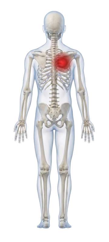 High-resolution customizable clipart of 3D Male Skeleton Back View with Moveable Pain Points, designed for clinical healthcare administration, medical training, and patient data visualization.
