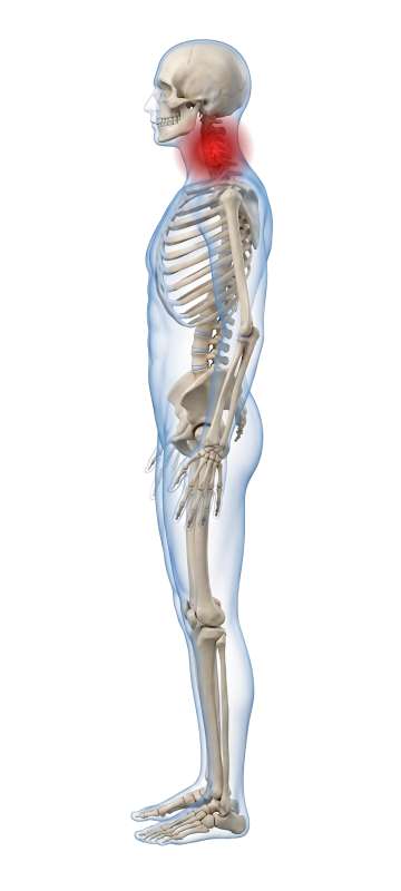 High-resolution customizable clipart of 3D Male Skeleton Side View with Moveable Pain Points, designed for clinical healthcare administration, medical training, and patient data visualization.