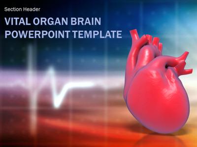 Slide 4 layout from the Vital Organ Heart presentation deck.