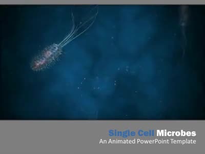 Microbes PowerPoint Template layout preview.