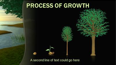 Slide 3 layout from the River Tree presentation deck.