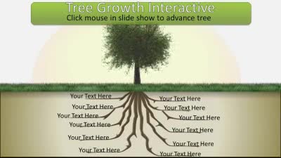 Slide 2 layout from the Tree Root Growth presentation deck.