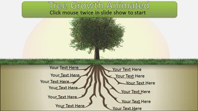 Slide 3 layout from the Tree Root Growth presentation deck.