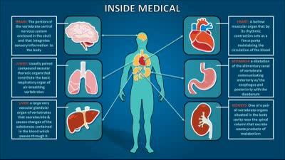 Inside Medical PowerPoint Template layout preview.