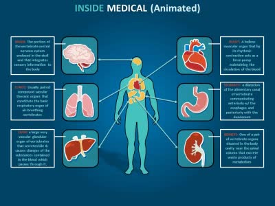 Inside Medical PowerPoint Template layout preview.