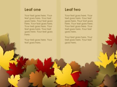 Slide 2 layout from the Falling Leaves presentation deck.