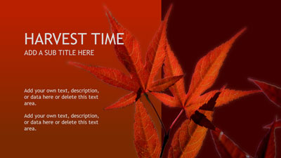 Harvest Time PowerPoint Template layout preview.