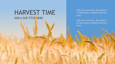 Slide 2 layout from the Harvest Time presentation deck.