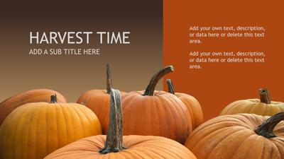 Slide 3 layout from the Harvest Time presentation deck.