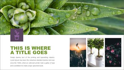 Slide 2 layout from the Garden Image Layout Template presentation deck.