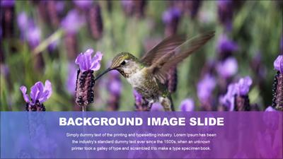 Slide 3 layout from the Simple Image PowerPoint Layout presentation deck.