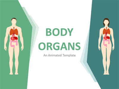 Body Organ Layouts PowerPoint Template layout preview.