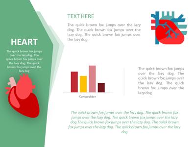 Slide 3 layout from the Body Organ Layouts presentation deck.
