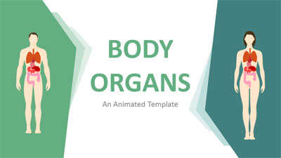 Body Organ Layouts PowerPoint Template layout preview.