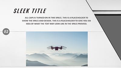 Slide 2 layout from the Project Sleek presentation deck.
