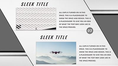 Slide 3 layout from the Project Sleek presentation deck.