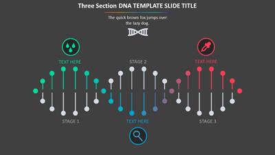 Slide 2 layout from the DNA Template For PowerPoint Interactive presentation deck.