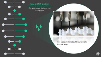 Slide 3 layout from the DNA Template For PowerPoint Interactive presentation deck.