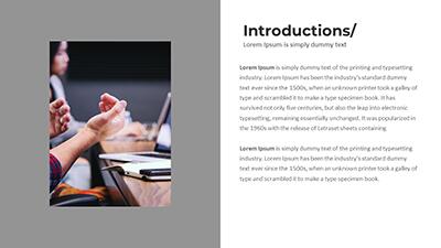 Slide 2 layout from the Professional Sphere presentation deck.