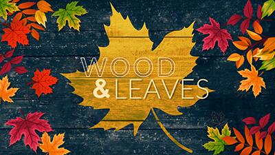 Wood And Leaves PowerPoint Template layout preview.