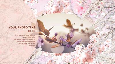 Slide 3 layout from the Spring PowerPoint Slides with Flowering Cherry Trees presentation deck.