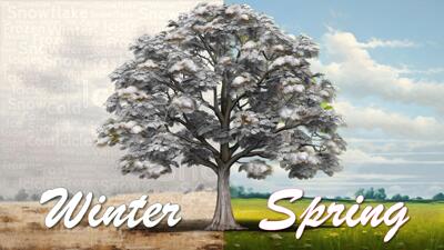 Slide 3 layout from the Seasonal PowerPoint Template - A Cycle of Change presentation deck.