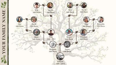 Slide 2 layout from the Make a Family Tree PowerPoint Toolkit presentation deck.