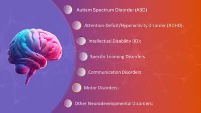 Slide 2 layout from the Brain Themed Neurodevelopment PowerPoint Slides presentation deck.
