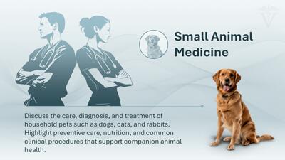 Slide 3 layout from the Veterinary Care PowerPoint Template presentation deck.