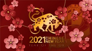 Year Of The Ox motion graphic preview.
