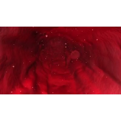 Red Blood Cell Vein motion graphic preview.