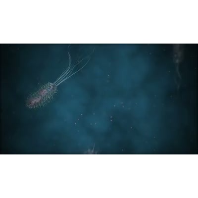 Microbe motion graphic preview.