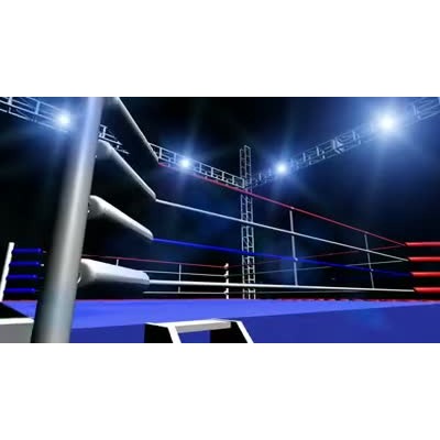 Boxing motion graphic preview.