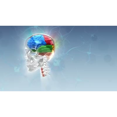 Revolving Brain motion graphic preview.