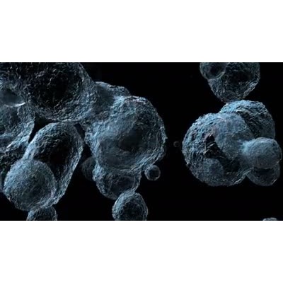 Bacterial Organisms motion graphic preview.