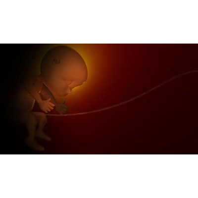 Baby In Womb motion graphic preview.