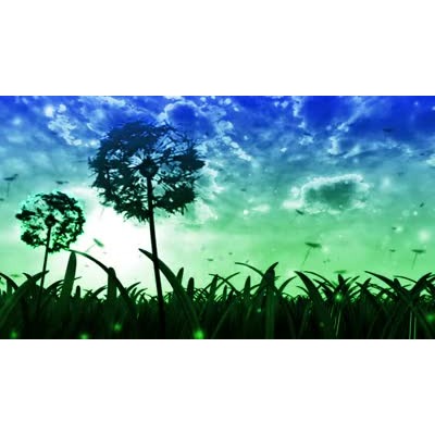Spring Evening motion graphic preview.